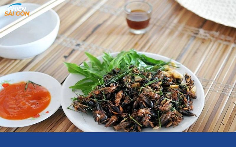 Top 70+ các món nhậu ngon Sài Gòn không thể thiếu trên bàn nhậu 128 món nhậu ngon sài gòn