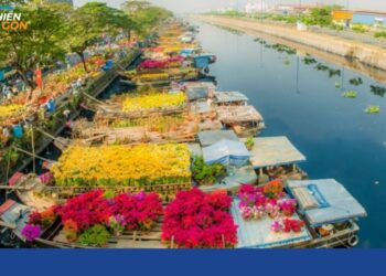 chợ hoa bến bình đông