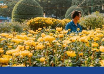 chợ hoa công viên lê văn tám