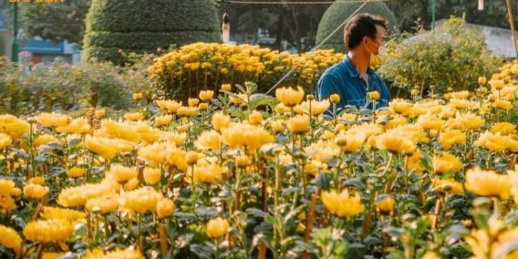 Review chợ hoa công viên Lê Văn Tám 2025 ngay giữa lòng phố thị 7 chợ hoa công viên lê văn tám
