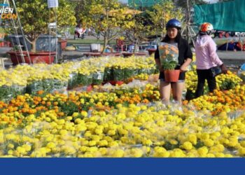 chợ hoa hậu giang