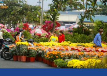 chợ hoa tết bình điền