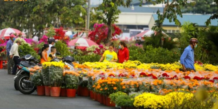 chợ hoa tết bình điền