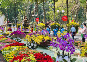 chợ hoa tết công viên tao đàn