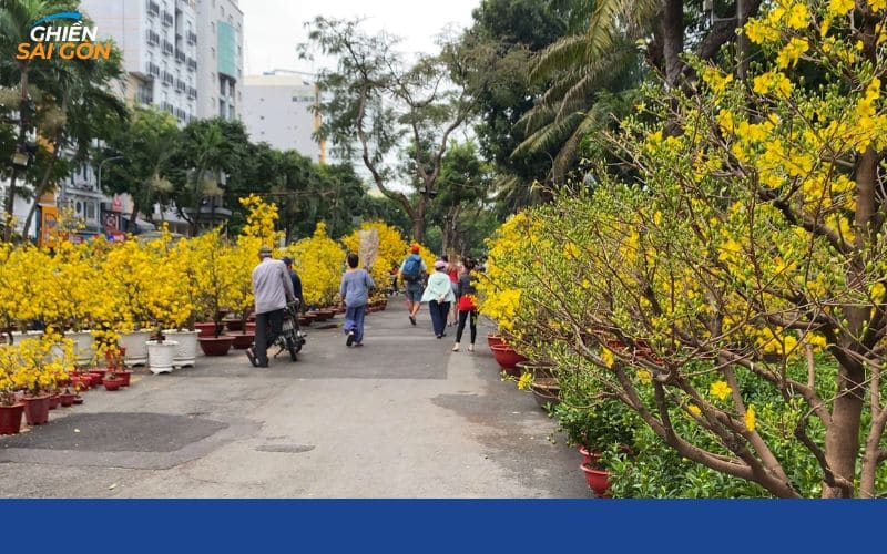 chợ hoa tết sài gòn