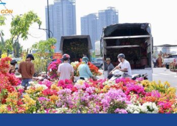chợ hoa tết Thủ Đức