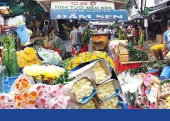 chợ hoa tươi đầm sen