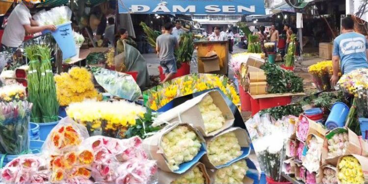 Review chợ hoa tươi Đầm Sen: Nơi sắm hoa đẹp Tết 2025 Ất Tỵ 5 chợ hoa tươi đầm sen