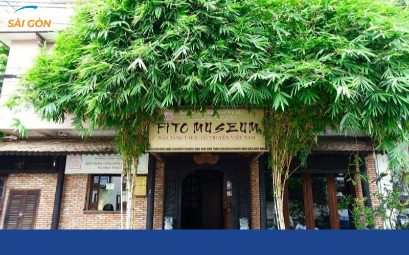 địa điểm chơi tết ở sài gòn