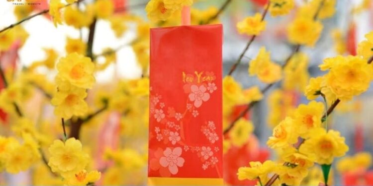 Tổng hợp top 25 địa điểm chơi Tết ở Sài Gòn năm 2025 hấp dẫn 26 địa điểm chơi tết ở sài gòn