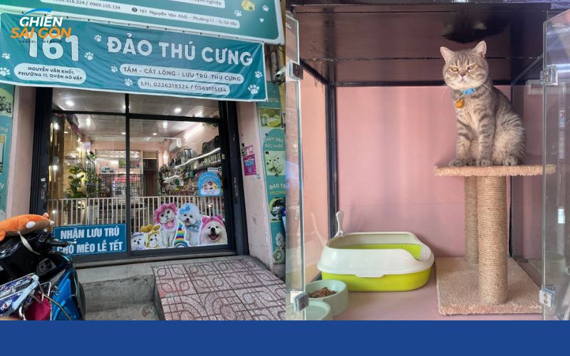 giữ chó mèo ngày tết tphcm