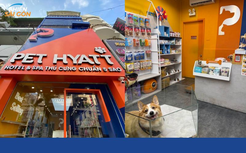 giữ chó mèo ngày tết tphcm