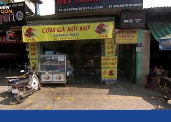 cơm gà nũng nịu