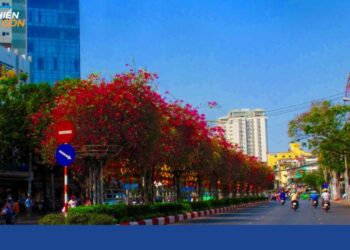 đường hoàng diệu