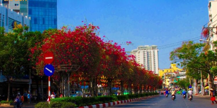 đường hoàng diệu