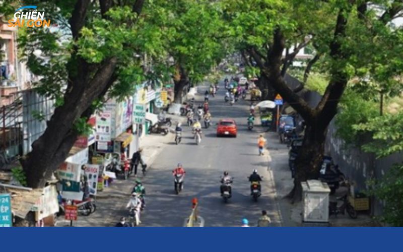 đường hoàng hoa thám