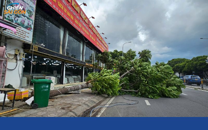 Đường Thành Thái – Tuyến đường thu hút bất động sản tại Sài Gòn 7 đường Thành Thái