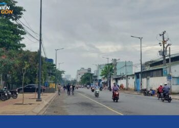 đường tô hiệu