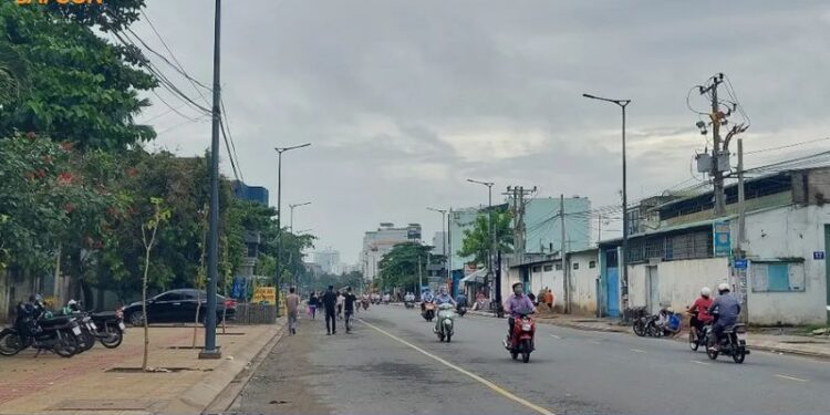 đường tô hiệu