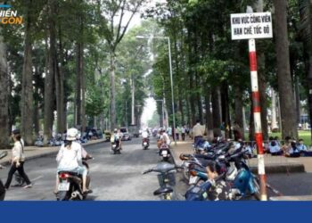 đường trương định