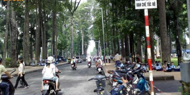 đường trương định