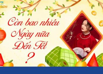 còn bao nhiêu ngày nữa đến tết