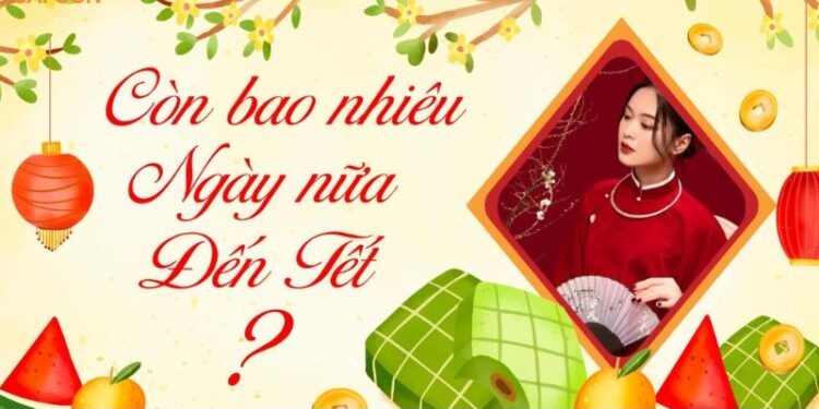 Còn bao nhiêu ngày nữa đến Tết 2026, 2027, 2028, 2029, 2030, 2031 1 còn bao nhiêu ngày nữa đến tết