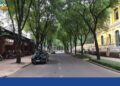 Đường Nguyễn Trung Trực - Tuyến đường sầm uất bậc nhất Sài Gòn 11 đường nguyễn trung trực