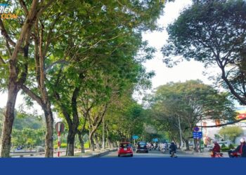 đường phan đình giót