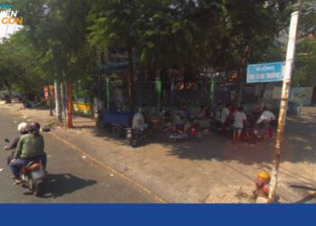 đường mai xuân thưởng