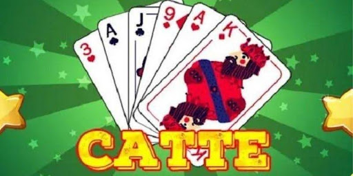Bật mí bí kíp đánh Catte hiệu quả