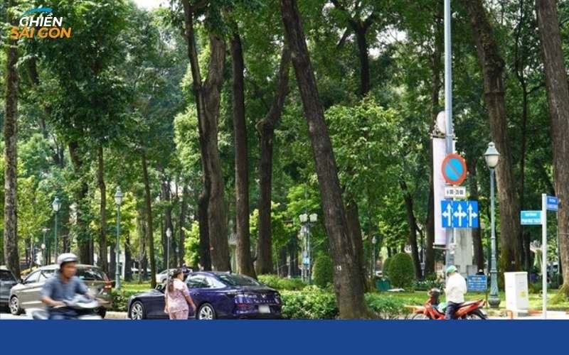 Đường Phạm Ngọc Thạch Sài Gòn có gì? Quy hoạch, quán ngon 7 đường phạm ngọc thạch