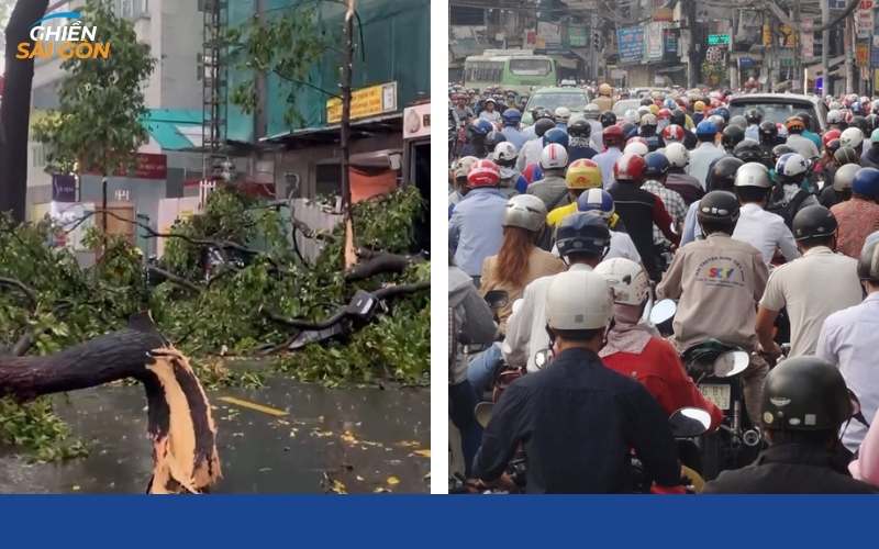 Đường Phạm Ngọc Thạch Sài Gòn có gì? Quy hoạch, quán ngon 9 đường phạm ngọc thạch