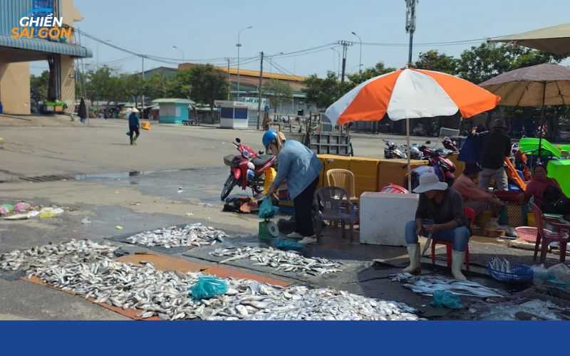 Khám phá chợ Bình Điền Quận 8 bán nhiều nông sản quy mô lớn 14 chợ bình điền