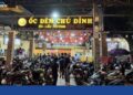 ốc đêm chú đỉnh