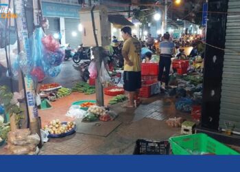 chợ rau tự phát lê văn thọ