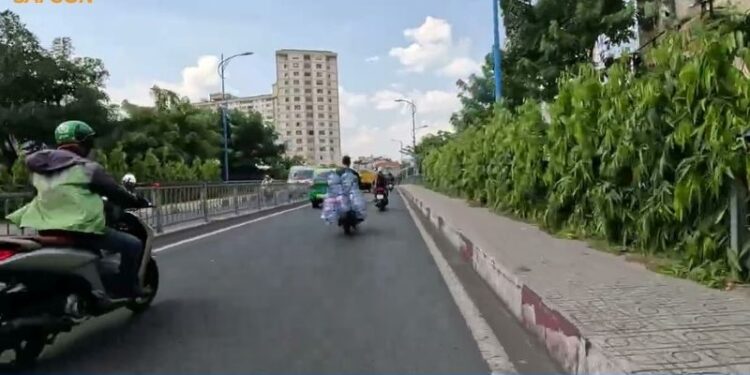 đường trần nguyên đán