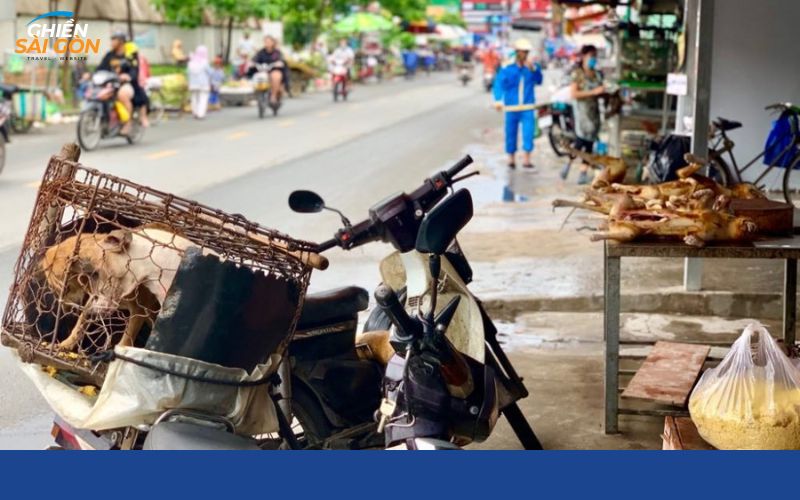 chợ chó quận 12
