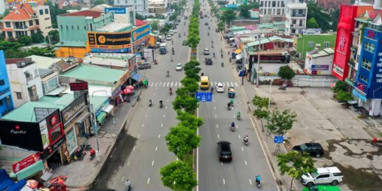 đường trần não