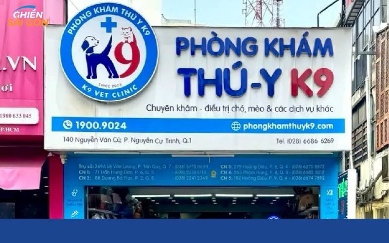7 phòng khám thú y quận 1 được nhiều khách hàng tin tưởng 11 phòng khám thú y quận 1