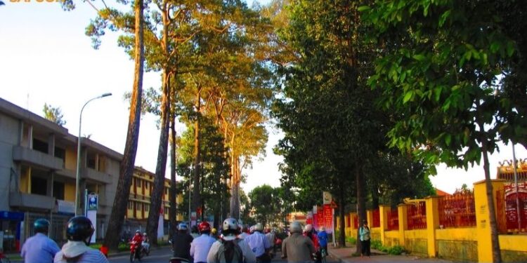 phường 1 bình thạnh sáp nhập