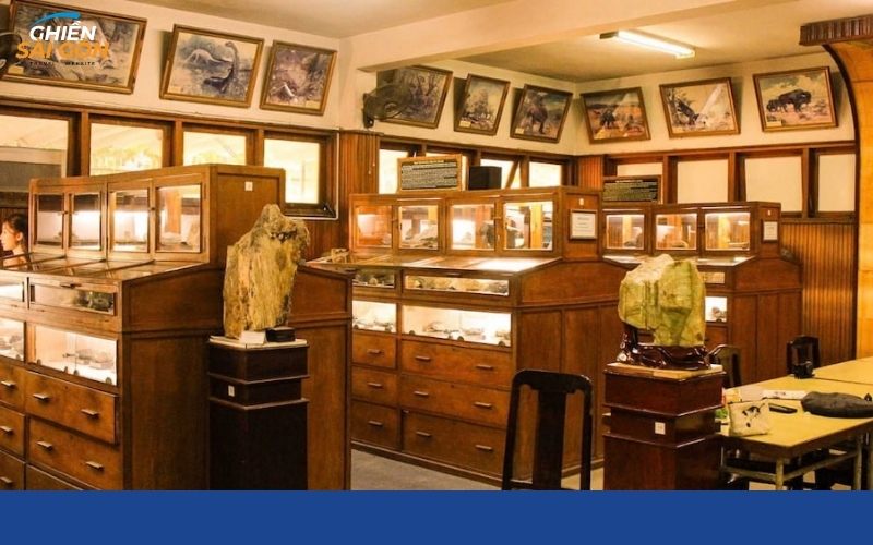 bảo tàng địa chất việt nam
