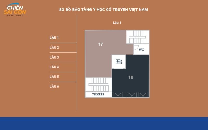 Bảo tàng Y học cổ truyền Việt Nam có gì đặc biệt để tham quan? 12 bảo tàng y học cổ truyền việt nam